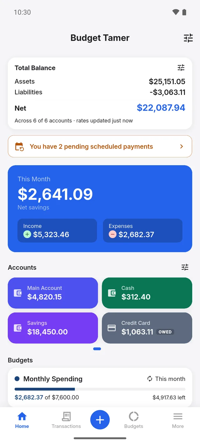 The Budget Tamer app home screen: total balance and net worth, this month's net savings, account cards, and budgets — all stored on the device.